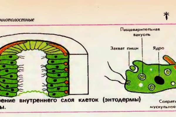 Восстановить аккаунт кракен