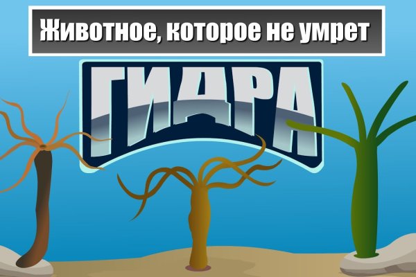 Ссылка на кракен тор