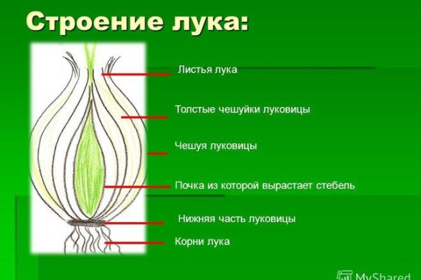 Как найти кракен в торе