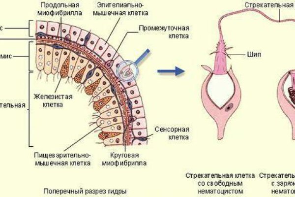 Kra39.at