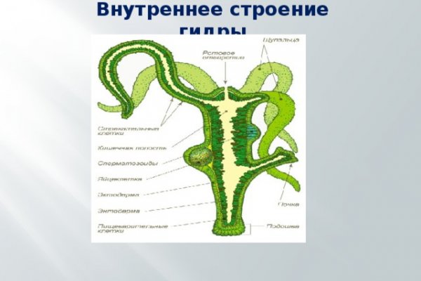 Кракен официальный сайт онион